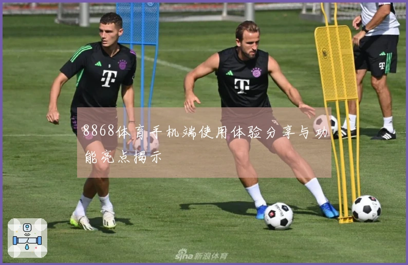 8868体育手机端使用体验分享与功能亮点揭示